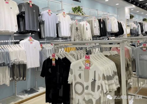 武山衣品之家服装批发城盛大开业 节目纷呈，人潮涌动